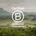 Our B-Corp journey