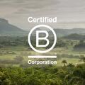 Our B-Corp journey